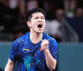 德甲60周年海报，樊振东C位！球迷误读王励勤的话，小胖归队有望